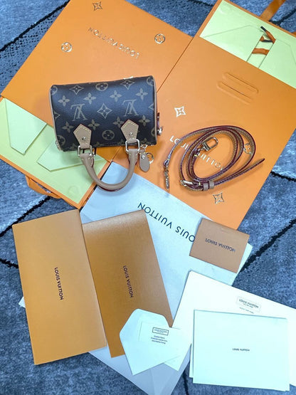 LV Mini Speedy Bag
